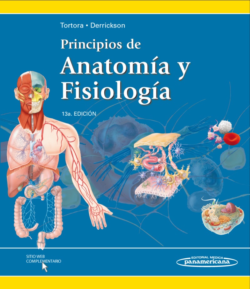 anatomia y fisiologia humana
